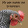 My pet makes me.thumb